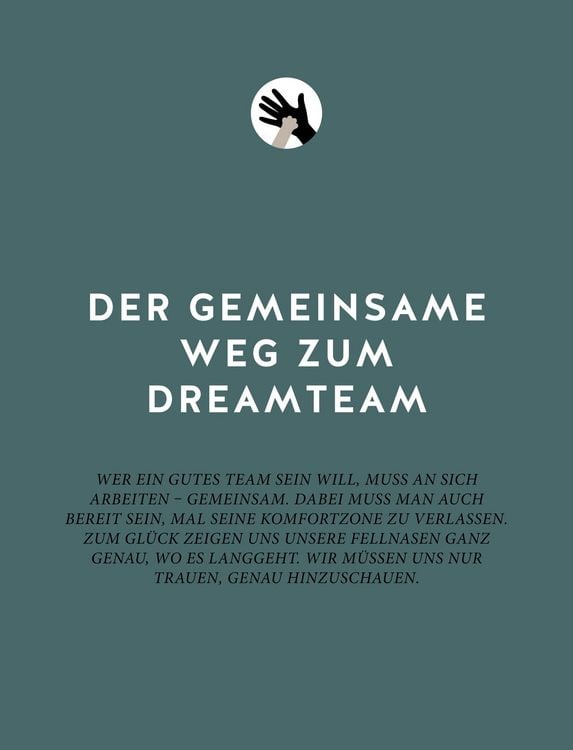Produktbild: Das Geheimnis der Spiegelung
