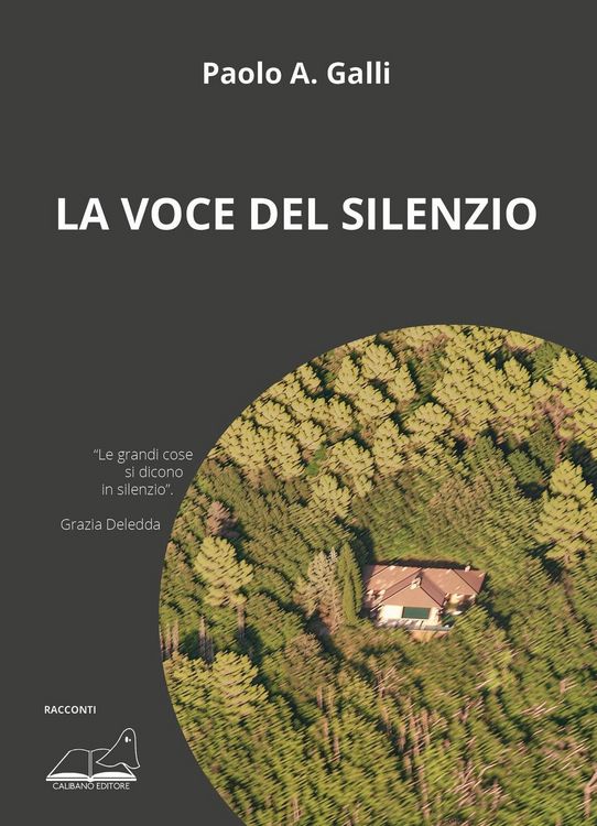 Produktbild: La voce del silenzio