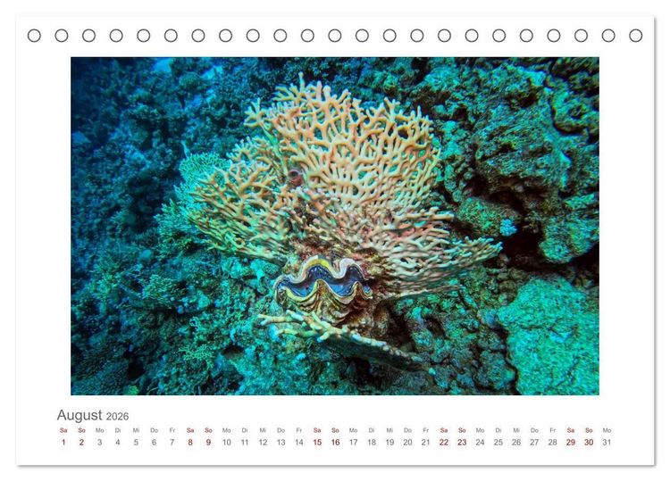 Produktbild: &Auml;gypten - unterwegs mit Julia Hahn (Tischkalender 2026 DIN A5 quer), CALVENDO Monatskalender
