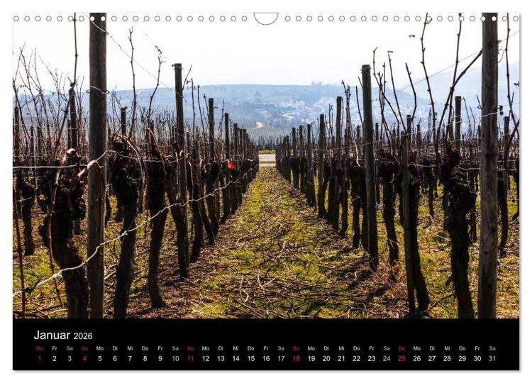 Produktbild: Das Jahr im Weinberg (Wandkalender 2026 DIN A3 quer), CALVENDO Monatskalender
