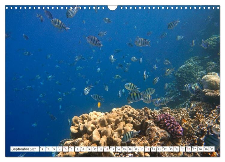Produktbild: &Auml;gypten - Nordafrika (Wandkalender 2027 DIN A3 quer), CALVENDO Monatskalender