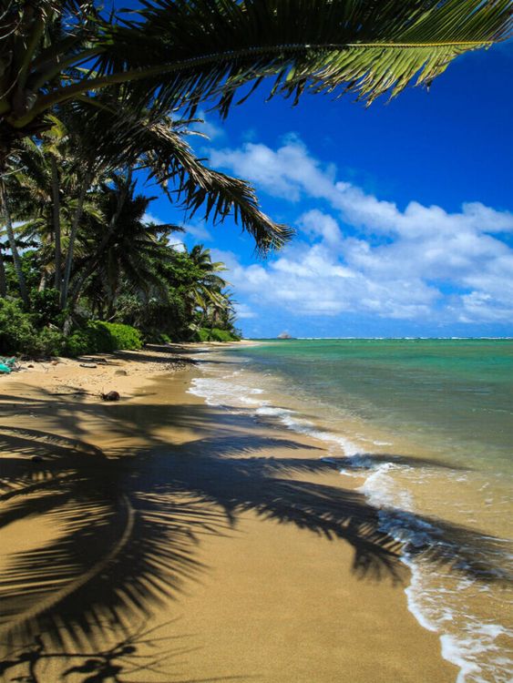 Produktbild: Pukoo Beach - Molokai (Puzzle)
