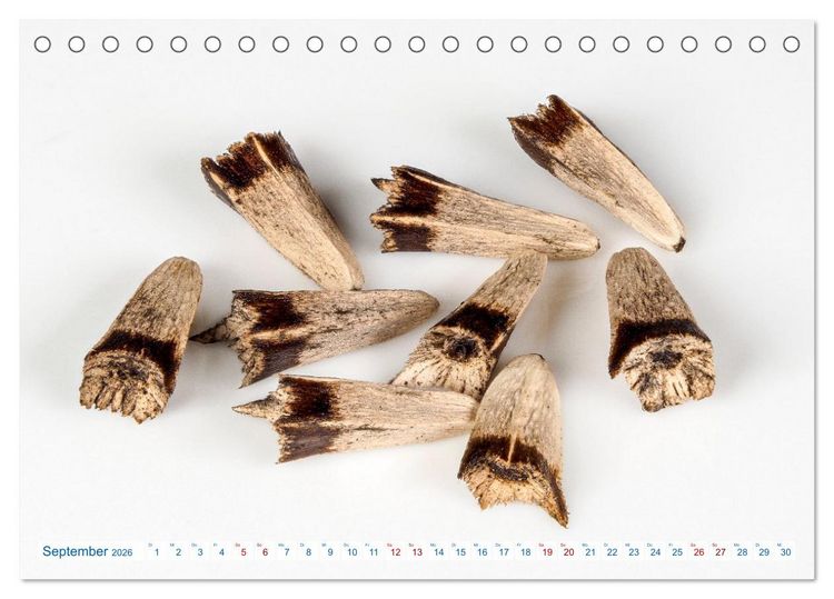 Produktbild: Wundersch&ouml;ne Kleinigkeiten (Tischkalender 2026 DIN A5 quer), CALVENDO Monatskalender