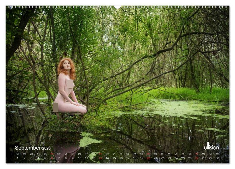 Produktbild: ZAUBERWALD Mystik der Natur (hochwertiger Premium Wandkalender 2026 DIN A2 quer), Kunstdruck in Hochglanz