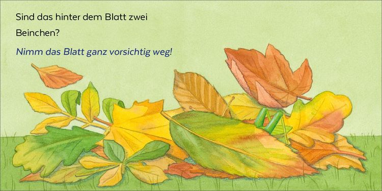 Produktbild: Wer hat sich denn hier versteckt?