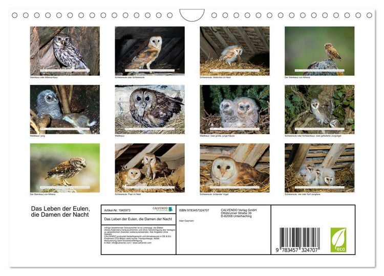 Produktbild: Das Leben der Eulen, die Damen der Nacht (Wandkalender 2026 DIN A4 quer), CALVENDO Monatskalender