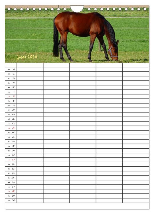 Produktbild: Bauernhoftiere Familienplaner (Wandkalender 2026 DIN A4 hoch), CALVENDO Monatskalender