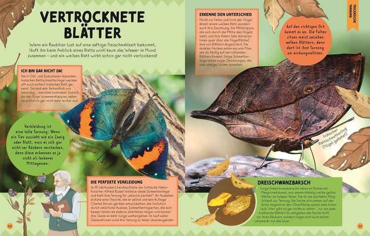 Produktbild: Ausgetrickst!