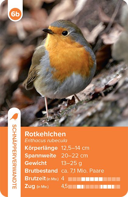 Produktbild: Einheimische Vogelarten &ndash; das Quartett-Spiel