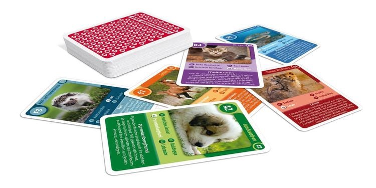 Produktbild: Tier-Quartett - Tierkinder