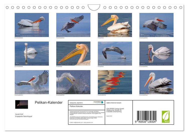 Produktbild: Pelikan-Kalender (Wandkalender 2026 DIN A4 quer), CALVENDO Monatskalender