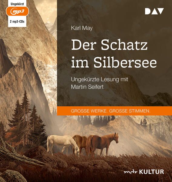 Produktbild: Der Schatz im Silbersee