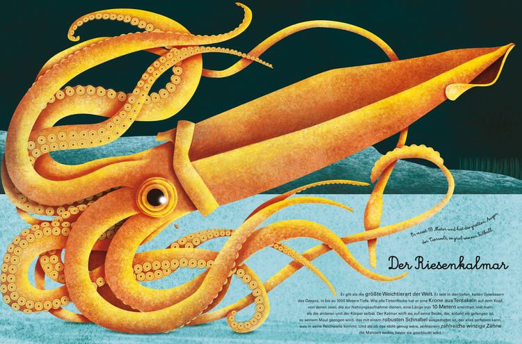 Produktbild: Das gro&beta;e Buch der Seetiere. Das kleine Buch der Seetiere