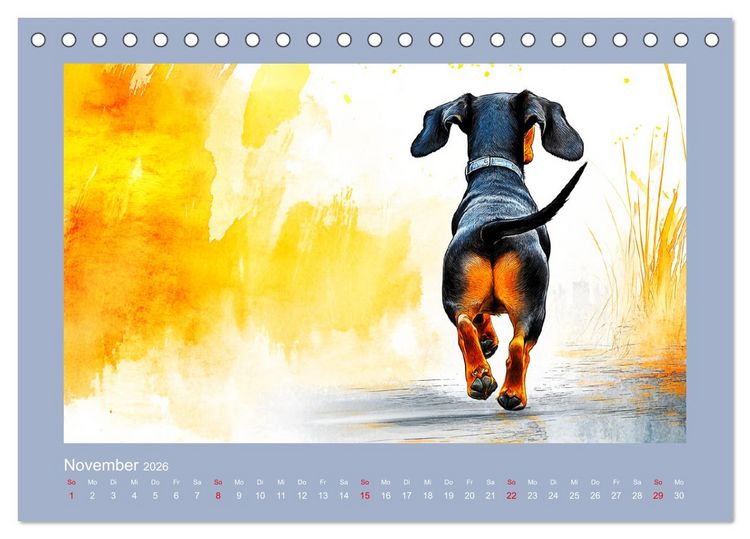 Produktbild: Dackelzauber. Charmante Begleiter im lieblichen Aquarell-Stil (Tischkalender 2026 DIN A5 quer), CALVENDO Monatskalender