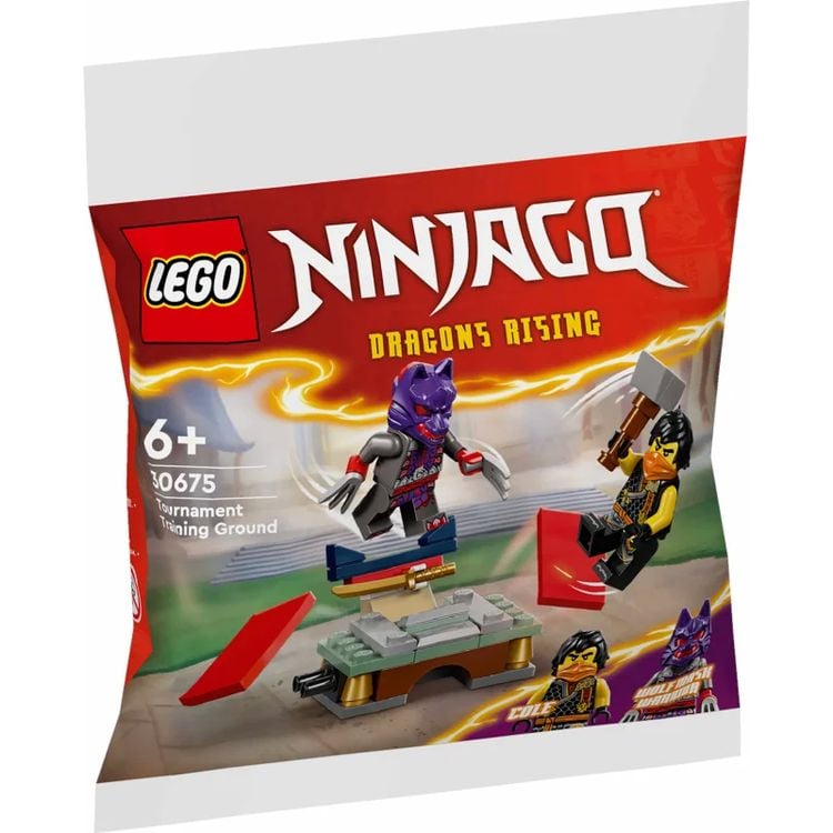 Bild vom Artikel LEGO Ninjago 30675 vom Autor 