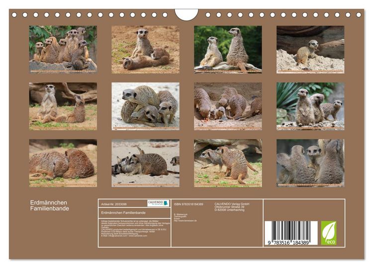 Produktbild: Erdm&auml;nnchen Familienbande (Wandkalender 2026 DIN A4 quer), CALVENDO Monatskalender