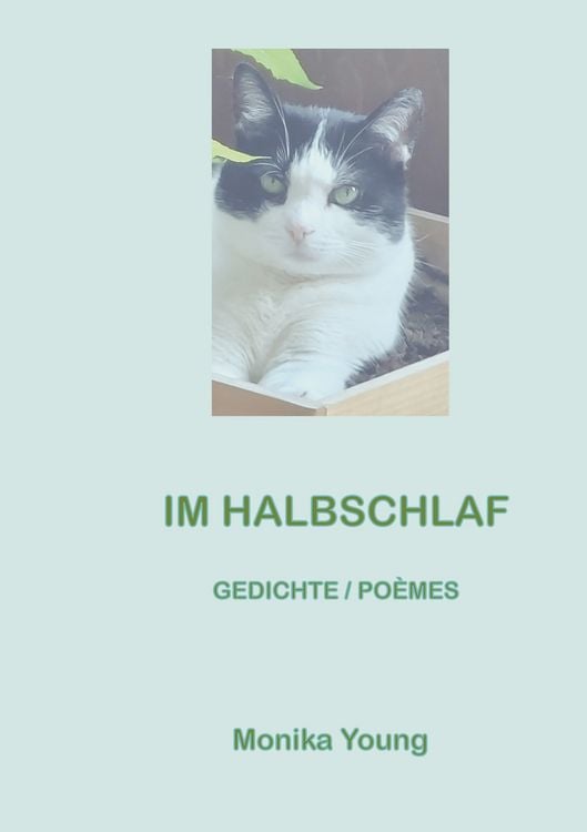 Produktbild: Im Halbschlaf