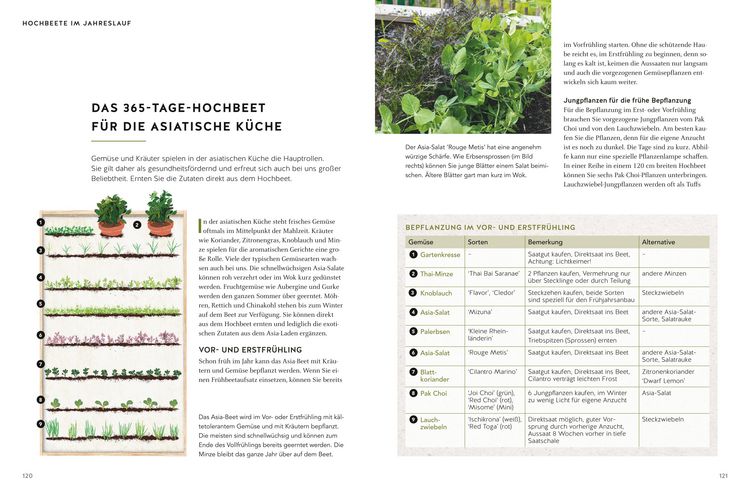 Produktbild: Mein Hochbeet &ndash; 33 Pflanzvorschl&auml;ge