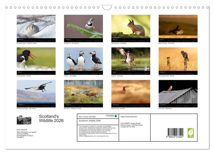Produktbild: Scotland's Wildlife 2026 (Wall Calendar 2026 DIN A3 landscape), CALVENDO 12 Month Wall Calendar
