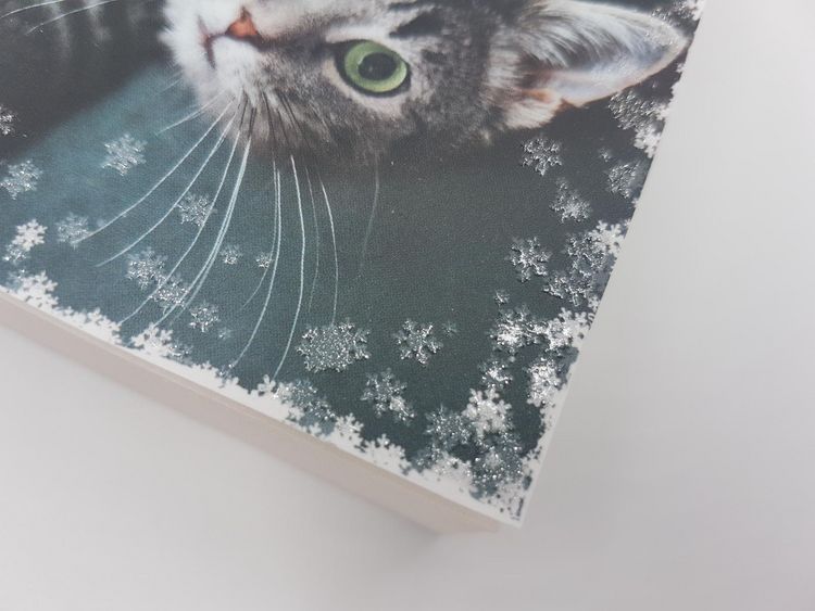 Produktbild: Katzenpf&ouml;tchen im Schnee