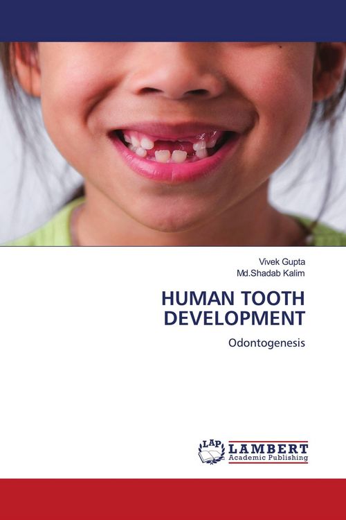 Produktbild: Human Tooth Development