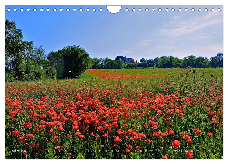 Produktbild: Toskana &ndash; Magie der Farben (Wandkalender 2026 DIN A4 quer), CALVENDO Monatskalender