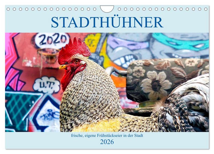 Produktbild: Stadth&uuml;hner (Wandkalender 2026 DIN A4 quer), CALVENDO Monatskalender