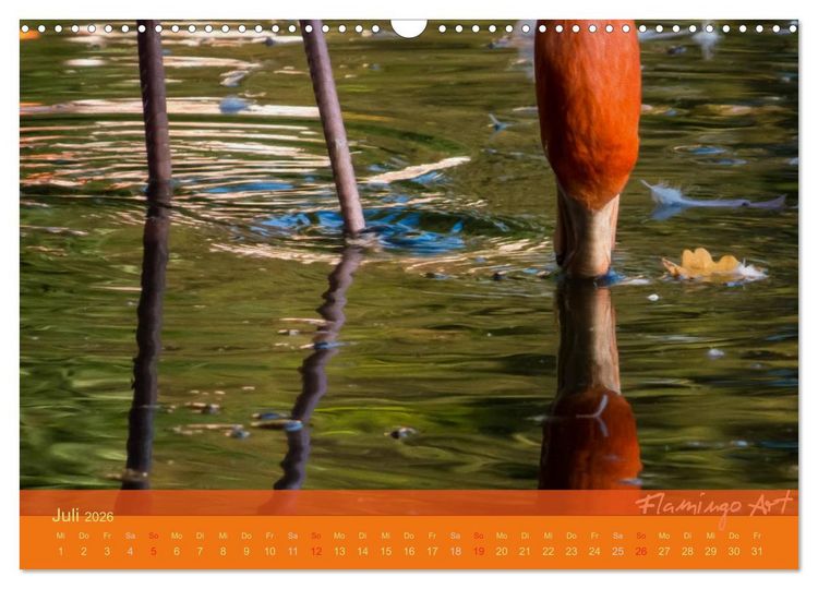 Produktbild: Flamingo Art 2026 (Wandkalender 2026 DIN A3 quer), CALVENDO Monatskalender