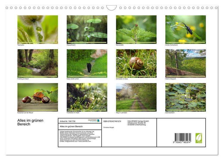 Produktbild: Alles im gr&uuml;nen Bereich (Wandkalender 2026 DIN A3 quer), CALVENDO Monatskalender