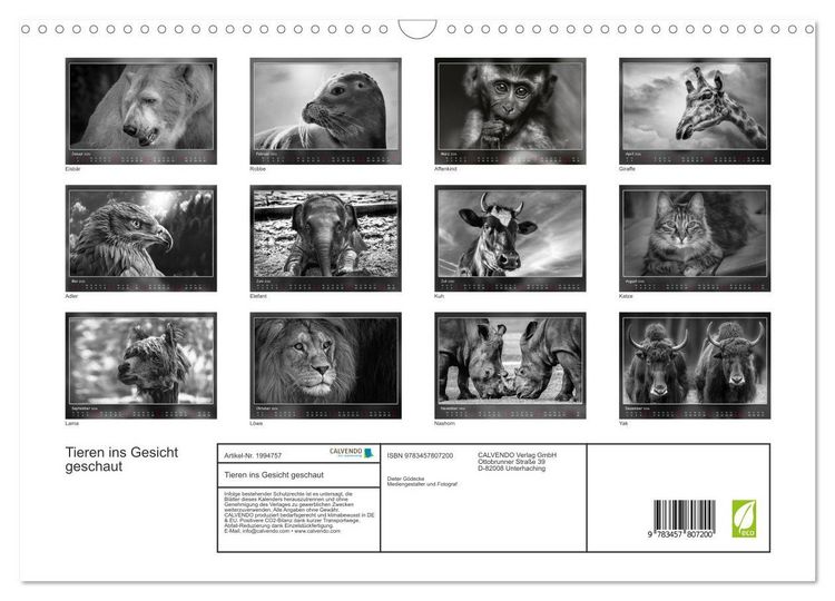 Produktbild: Tieren ins Gesicht geschaut (Wandkalender 2026 DIN A3 quer), CALVENDO Monatskalender