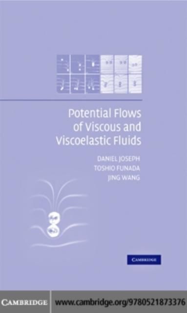 Produktbild: Potential Flows of Viscous and Viscoelastic Liquids