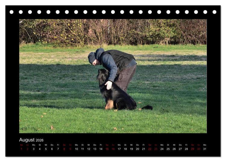 Produktbild: Der Hovawart... Dein Freund f&uuml;rs Leben ! (Tischkalender 2026 DIN A5 quer), CALVENDO Monatskalender