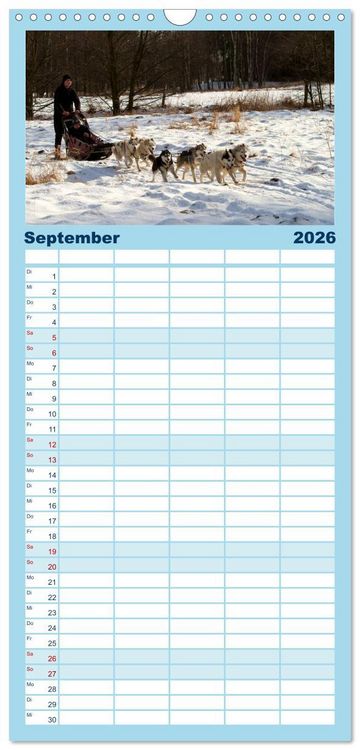 Produktbild: Familienplaner 2026 - Huskies! mit 5 Spalten (Wandkalender, 21 x 45 cm) CALVENDO