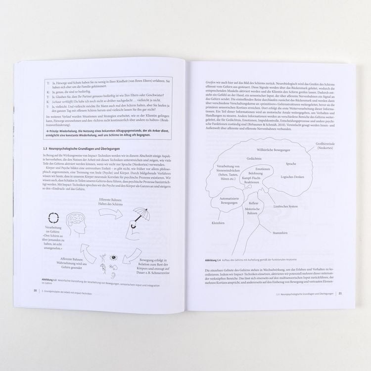 Produktbild: Therapie-Tools Impact-Techniken im Einzelsetting