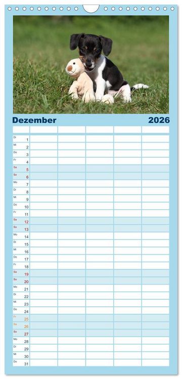 Produktbild: Familienplaner 2026 - Welpen - Puppies mit 5 Spalten (Wandkalender, 21 x 45 cm) CALVENDO