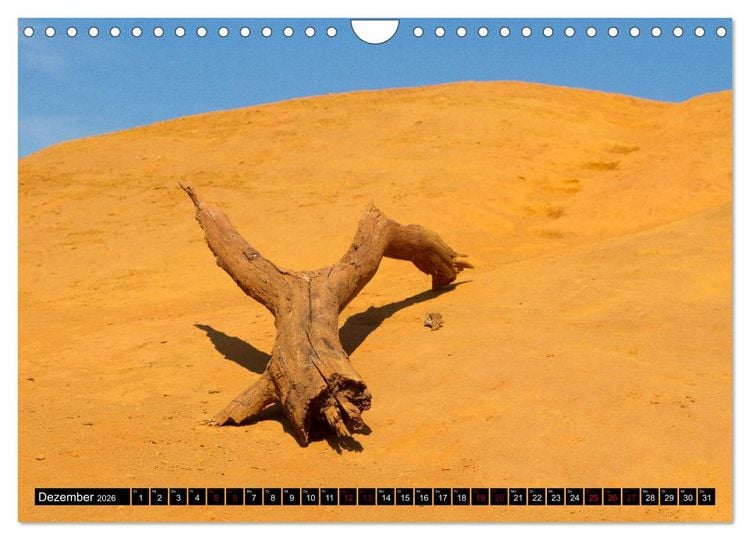 Produktbild: Provence im Rausch der Farben (Wandkalender 2026 DIN A4 quer), CALVENDO Monatskalender