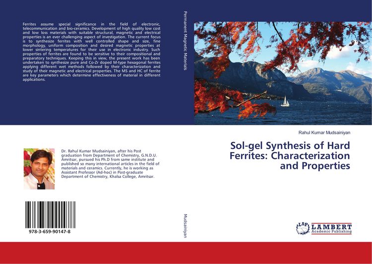 Produktbild: Sol-gel Synthesis of Hard Ferrites: Characterization and Properties