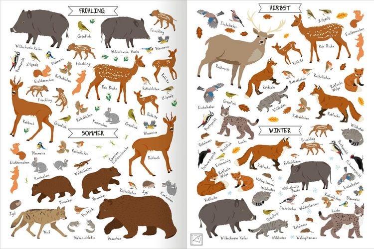 Produktbild: Naturforscher-Kids &ndash; Stickerheft Im Wald