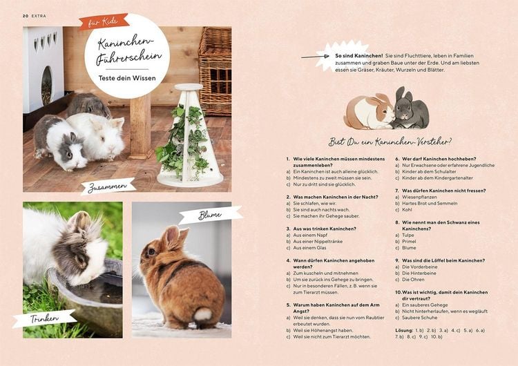 Produktbild: Zwergkaninchen