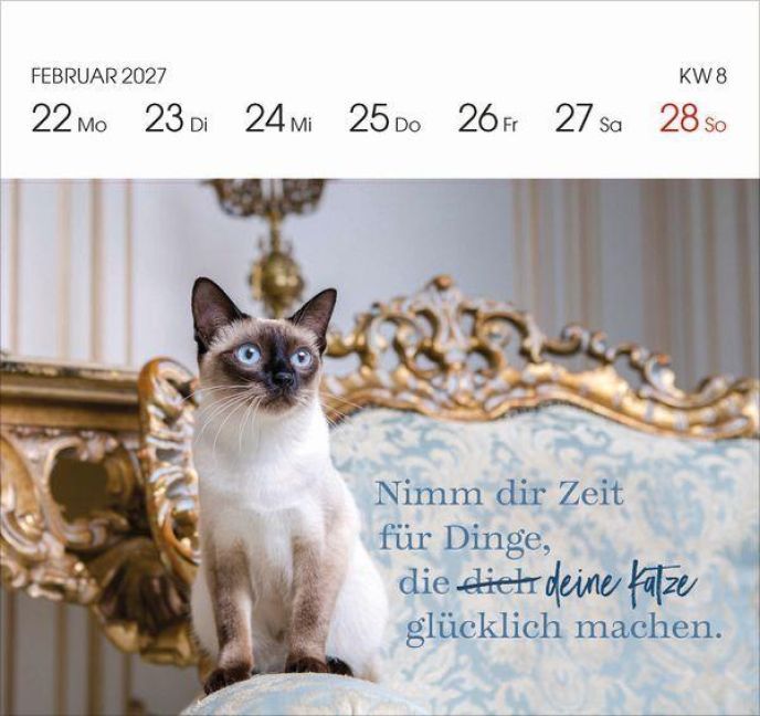 Produktbild: Katzen 2027