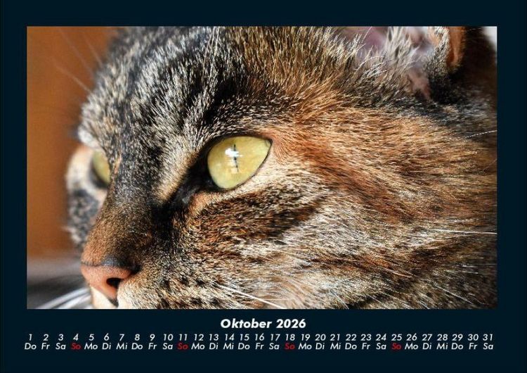 Produktbild: Tiere auf dem Bauernhof 2026 Fotokalender DIN A4
