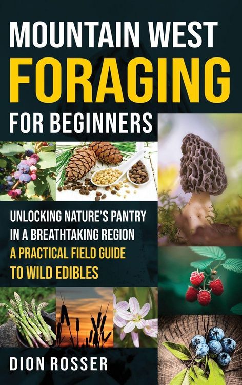 Produktbild: Mountain West Foraging for Beginners