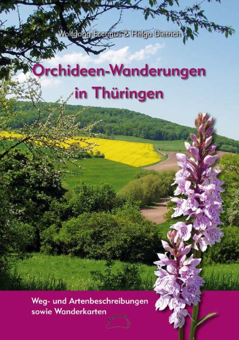 Produktbild: Orchideen-Wanderungen in Th&uuml;ringen