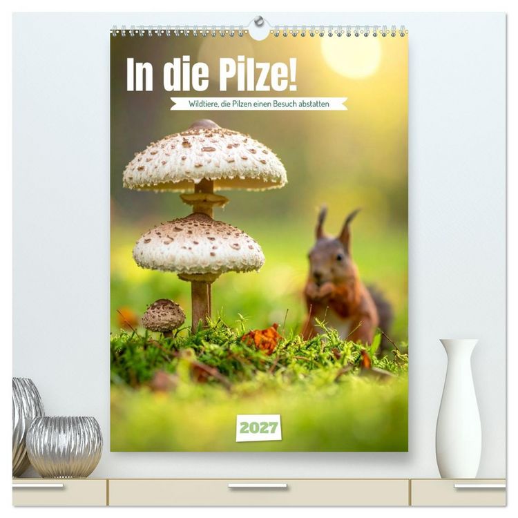 Produktbild: In die Pilze (hochwertiger Premium Wandkalender 2027 DIN A2 hoch), Kunstdruck in Hochglanz