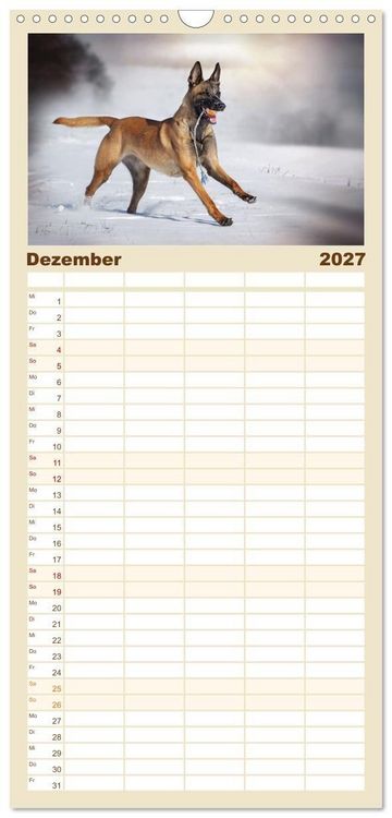 Produktbild: Familienplaner 2027 - Mit dem Malinois durch das Jahr mit 5 Spalten (Wandkalender, 21 x 45 cm) CALVENDO