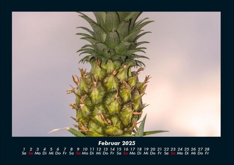 Produktbild: Obstkalender 2025 Fotokalender DIN A4
