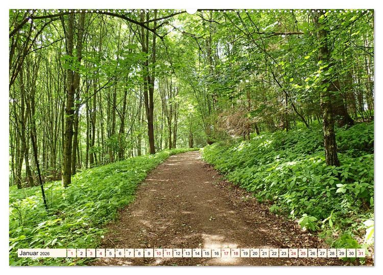 Produktbild: Viele Wege - ein Ziel Wandern im Odenwald (Wandkalender 2026 DIN A2 quer), CALVENDO Monatskalender