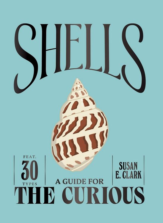 Produktbild: Shells