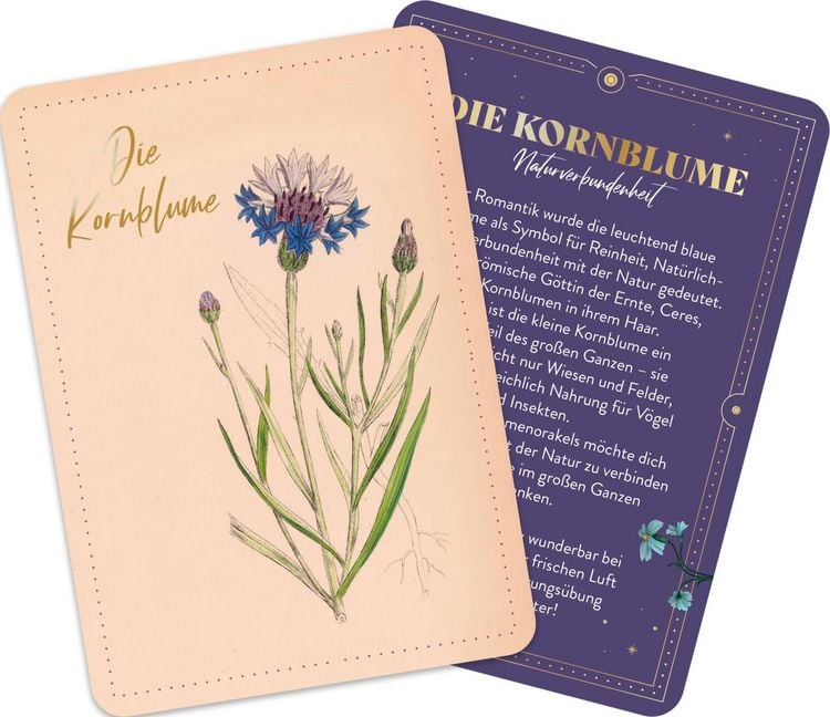 Produktbild: Die geheimnisvolle Sprache der Blumen &ndash; 50 Orakelkarten f&uuml;r das ganze Jahr