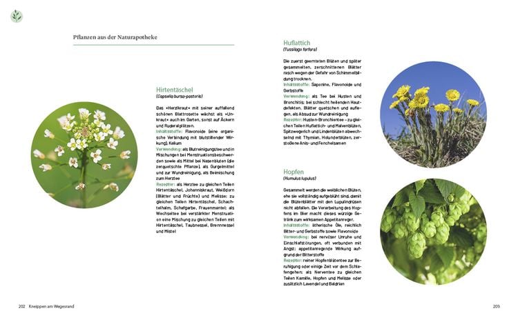 Produktbild: Das gro&szlig;e Kneipp-Buch